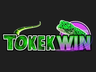 tokekwin logo